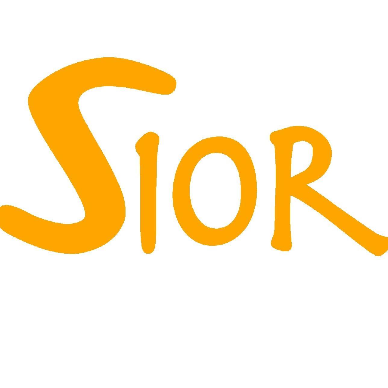 SIOR is a new digital repository to display, cite and store the social impact of research results.
#SIS16 https://t.co/H4Okj4NVuc