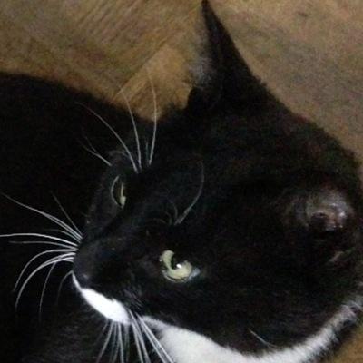 むにょさんのプロフィール画像