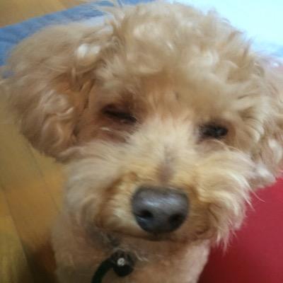 R3BxayTjyWXRvaX's profile picture. 