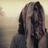 FLLO7i's profile image