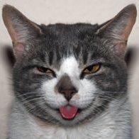 lumpyelfring's profile picture. 