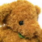 しがないサラリーマン。 誰でもフォロー大歓迎です！
