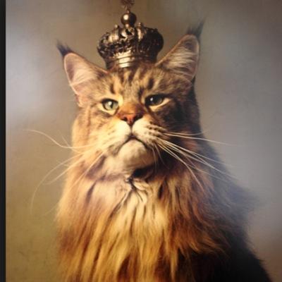 #9lives
