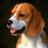 Gertude9511's profile image