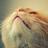Eve364439's profile image