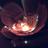 aurea39943's profile image