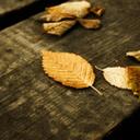 Ruby & Silver - @rubyandsilver - Twitter