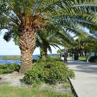 ttdsanfordfl's profile picture. 