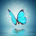 Teresa Mears - @MearsTeresa - Twitter