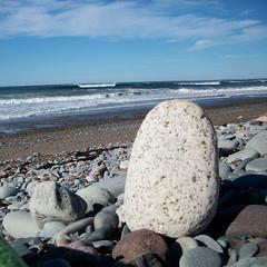 MrWaldal's profile picture. Teacher. Learner. Corny joke Connoisseur.