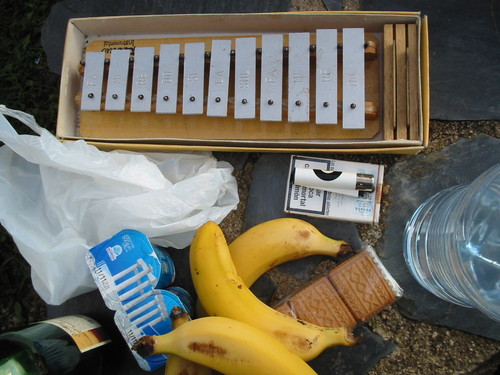 Pau Gener Galin Profile