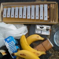 Pau Gener Galin (@paugener) 's Twitter Profile