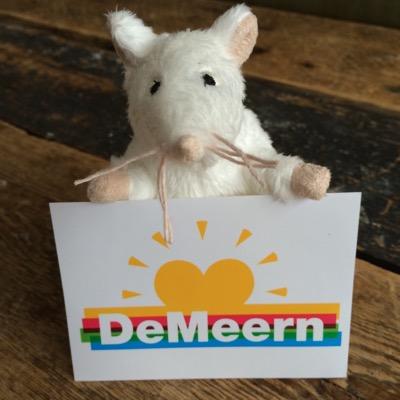 Het gezelligste feestje van het dorp! De jaarlijkse Meernse Markt in het #Minimapark #deMeern! #ratjetoe16 Definitieve datum volgt snel!