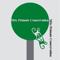 Primate Conservation OBU(@PrimConsOBU) 's Twitter Profileg