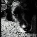 declan Peterson - @5fd56350ff25439 - Twitter