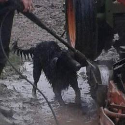 Widgits_Matt's profile picture. 