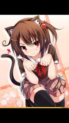 Hi~I'm pixel i love Nutella but i love my sister Aya more. Bestie- Kaifer :3 I-im shy but i can change quick if u hurt the ones I love :3 #rp #online