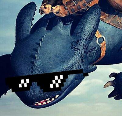 ⇨¡THIS IS BERK!⇦ ⇨Night Fury⇦ ⇨Class: Strike⇦ ⇨I'm The Alpha Of The Dragons⇦ ⇨HTTYD⇦ ⇨Hiccup ♡⇦ ~ (\_∧∧_/) ~