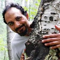 Cass Ingram (@drcassingram) 's Twitter Profile