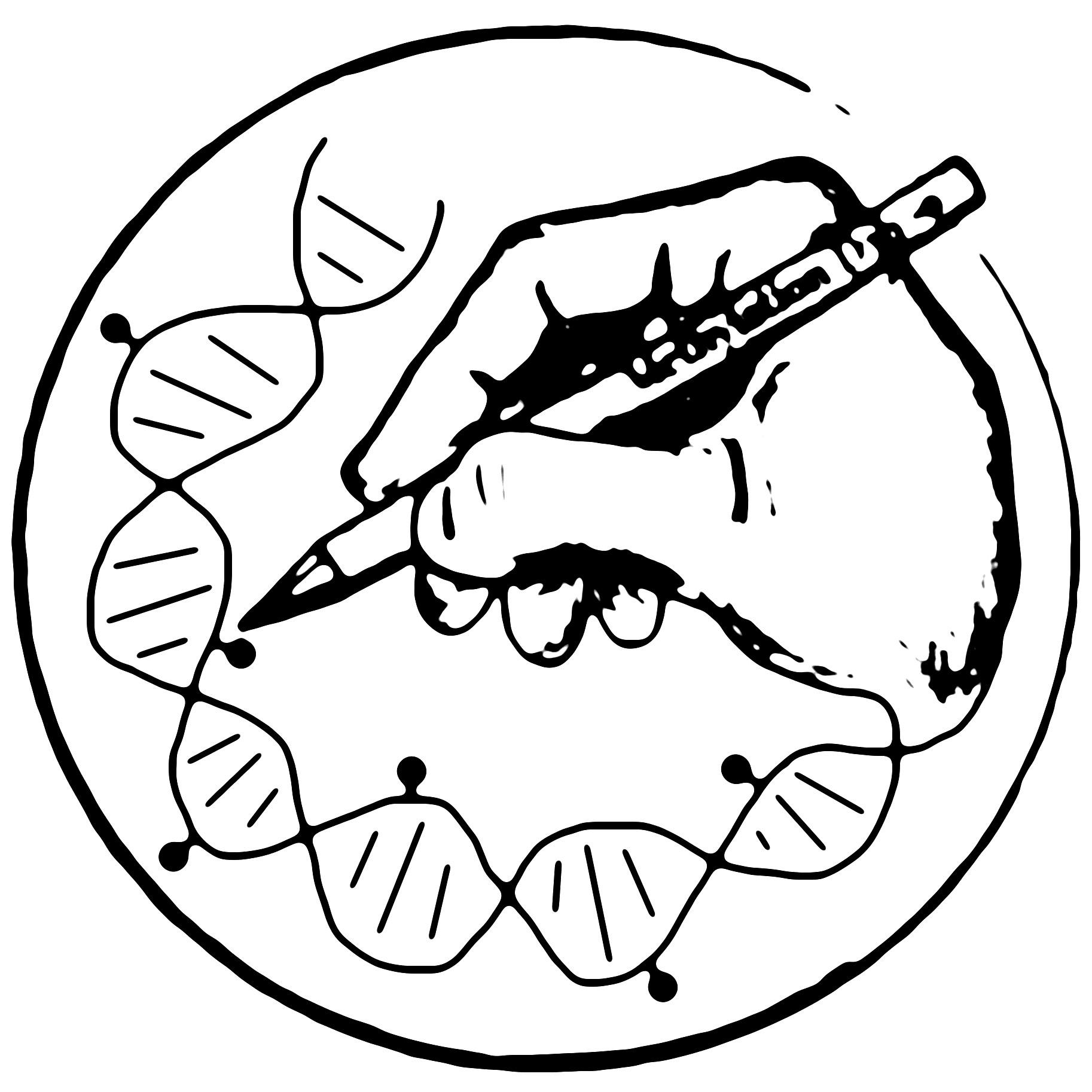 Epigenetics, Gene regulation, Chromatin, and more.