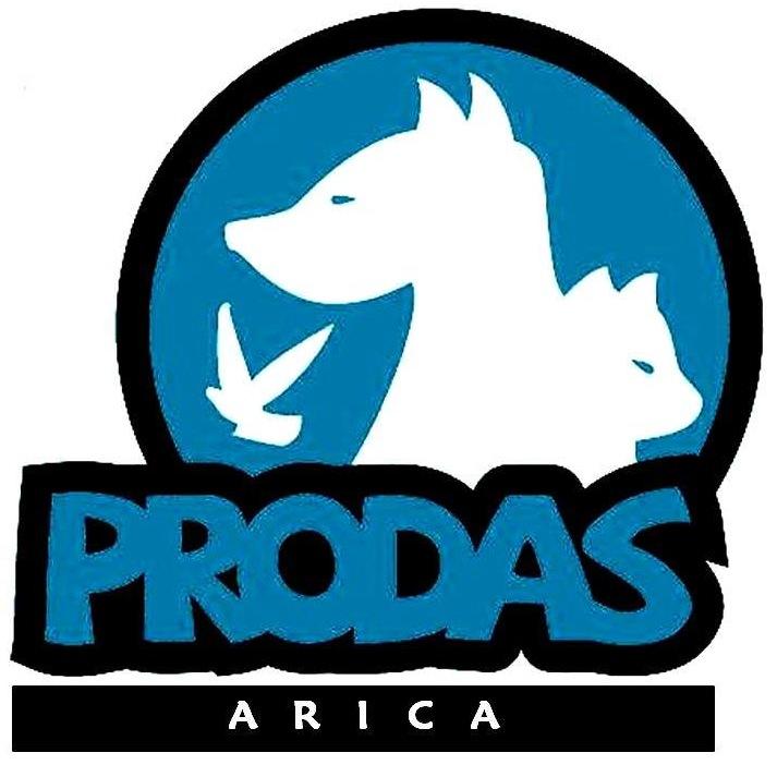 Prodas_Arica Profile Picture