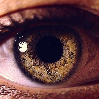 miyazakitani66's profile picture. RESPEITOSO