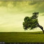 FREEMIUM - You Way to Success
FREEMIUM is a technology platform dedicated to the latest Linux and Windows News and Softwares, Android and More...