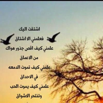 الحياة حلوه بس نفهمها ؛  (( مسافر ✈️ ))