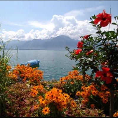 خالد السبيعي