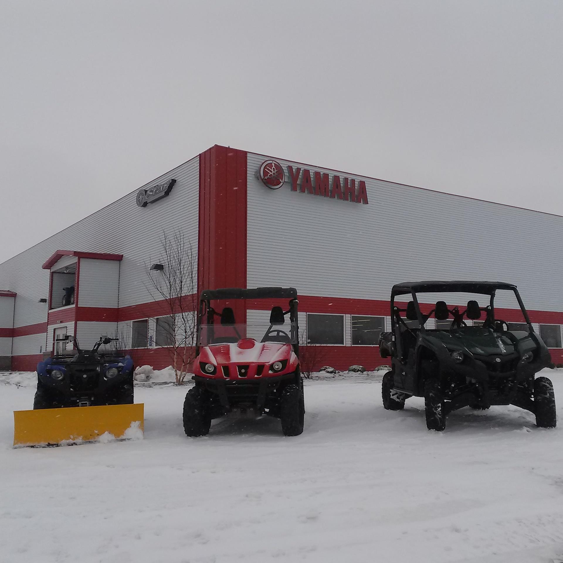 5 Star Pro Yamaha GOLD Dealership