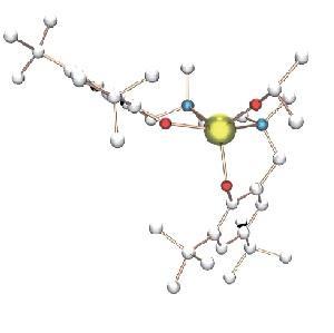 Organometallic Chemistry and Polymerization Catalysis