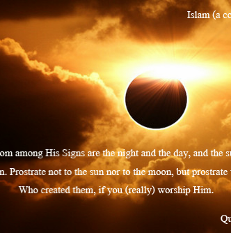 Muhammedsalley's profile picture. courage is not the absence of fear,but going forward with the face of fear.