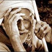 من قال لا أعلم فقد أفتى