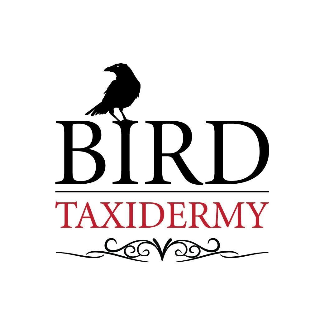 Taxidermist -Taxidermy services--Find me at birdtaxidermyuk@outlook.com