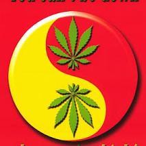 phemexd101's profile picture. hard working smart thinker. Loves any1 dat smokes weed.