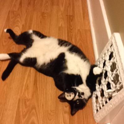 DarthHamlet Profile Picture