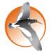 Apalachicola NERR (@apalachnerr) Twitter profile photo Apalachicola NERR (@apalachnerr) Twitter profile photo