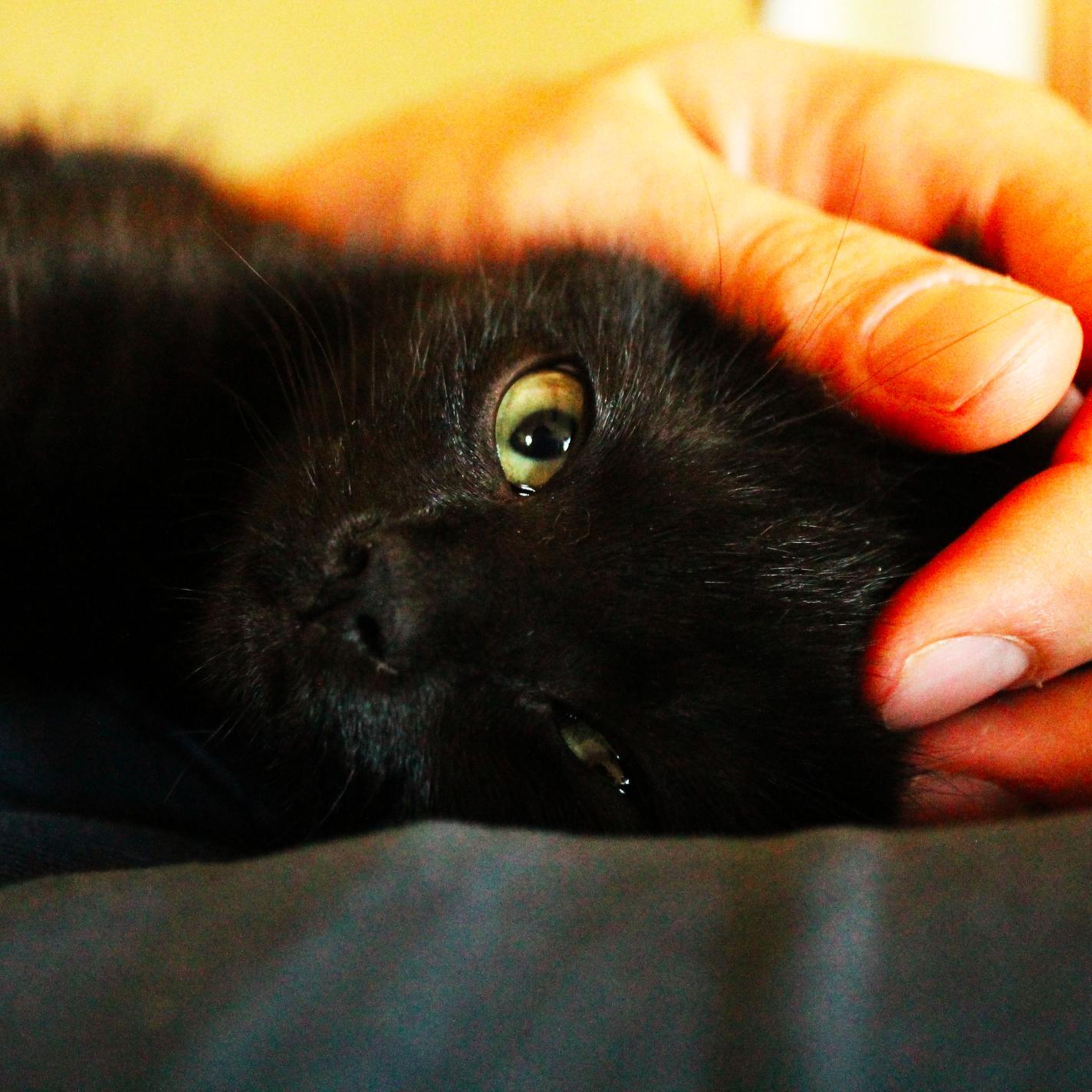 robin_mnlt's profile picture. 