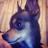 Stephanie715's profile image