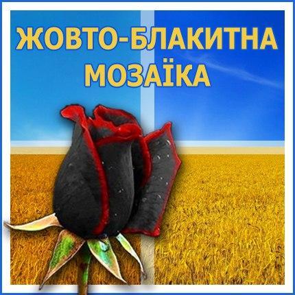 Жовто-блакитна мозаїка. Патріотично-розважальний позитив та аналітика. Плюс #афоризмы.