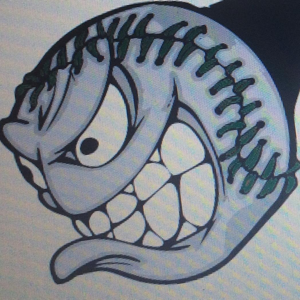 11u Travel Baseball Team