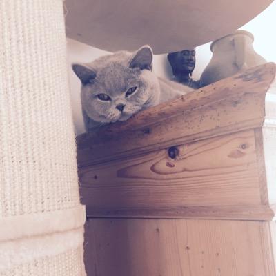 MaliMal85785251's profile picture. 