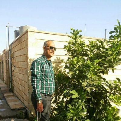 معلم جامعي
