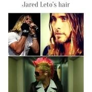 Page dedicated to the evolution of Jared Leto's hair. Responsible for getting Marshawk in Urban Dictionary.