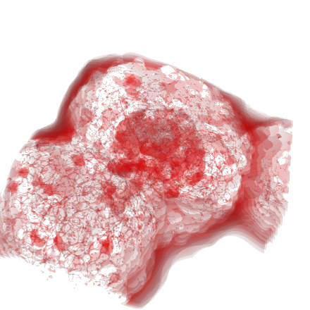 qtarasov's profile picture. 