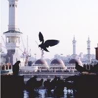 hamad algaurini (@hamad0582) 's Twitter Profile