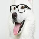 Mitchell Thorpe - @ca19405b3d4e4ef - Twitter