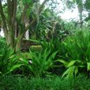 Kay McGregor - @irejuvenate_u - Twitter