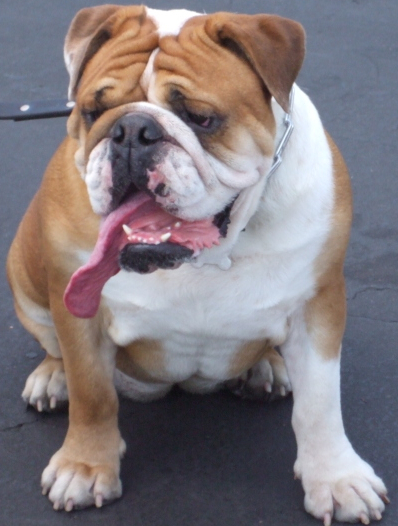 UC_MINI's profile picture. We're a MINI Cooper dealership in Universal City