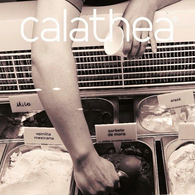 Calathea es una heladería artesanal. 
Elaboramos todos nuestros helados y sorbetes  a partir de ingredientes naturales en producciones pequeñas y muy cuidadas.